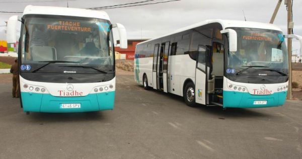 Guaguas_fuerteventura