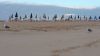 PLAYA DUNAS DE CORRALEJO-Foto  archivo Revista Mi Pueblo-