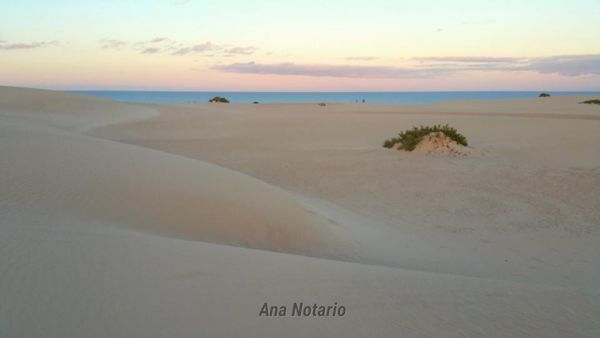 dunas_MiPueblolaRevistadeFuerteventura 