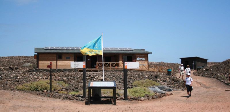 Isla de Lobos-Life