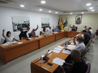 AYUNTAMIENTO DE PUERTO DEL ROSARIO-PLENO 29 JUNIO 20