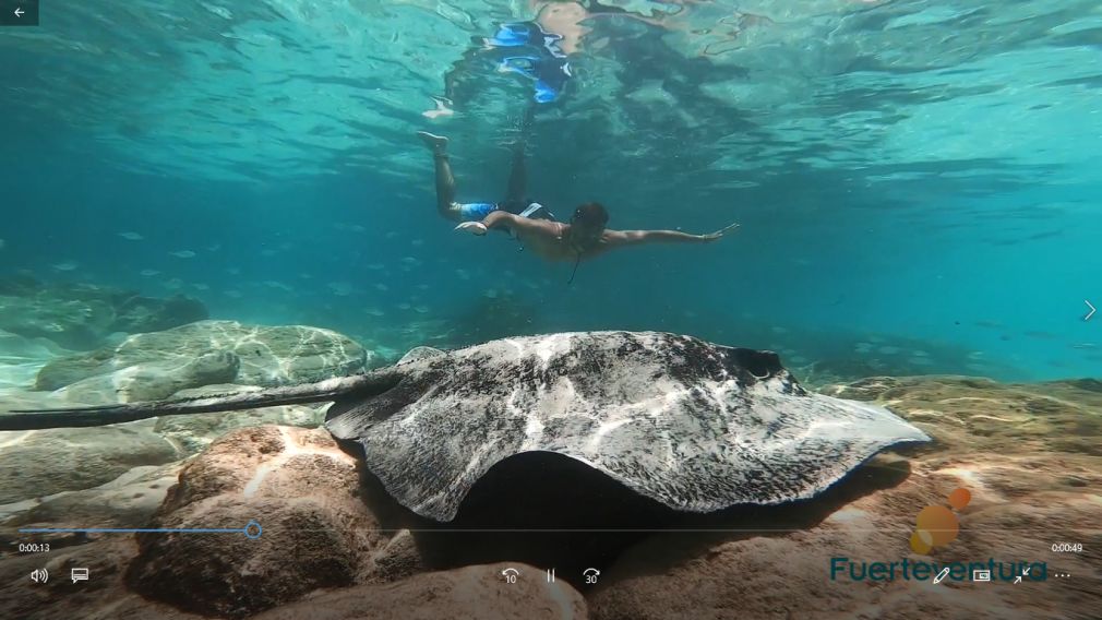 El Vega. Videoclip -pa vivirla-