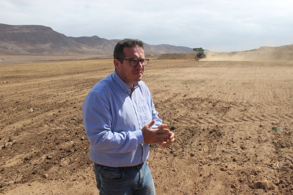 Recuperación de la cebada tradicional en Fuerteventura-David de Vera