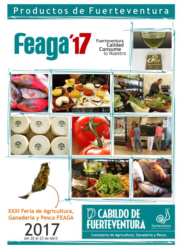 Feaga17