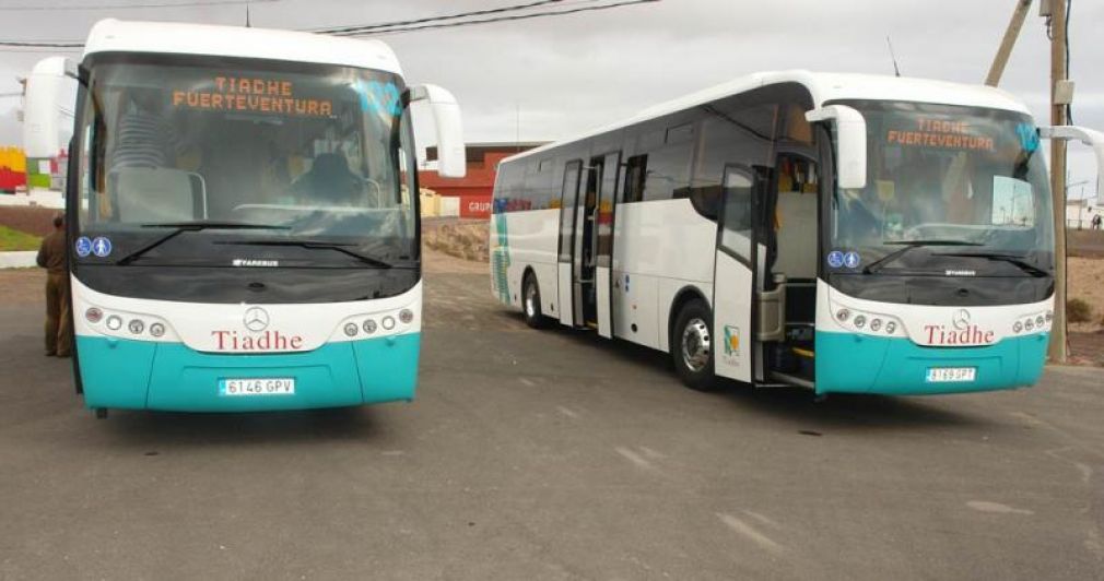 guaguas-fuerteventura