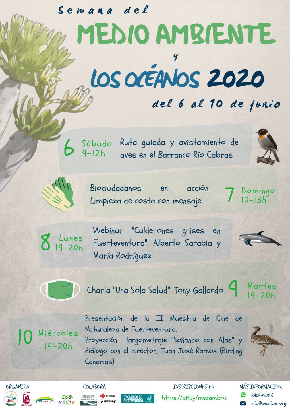 MEDIO AMBIENTE - SEMANA OCÉANOS 2020