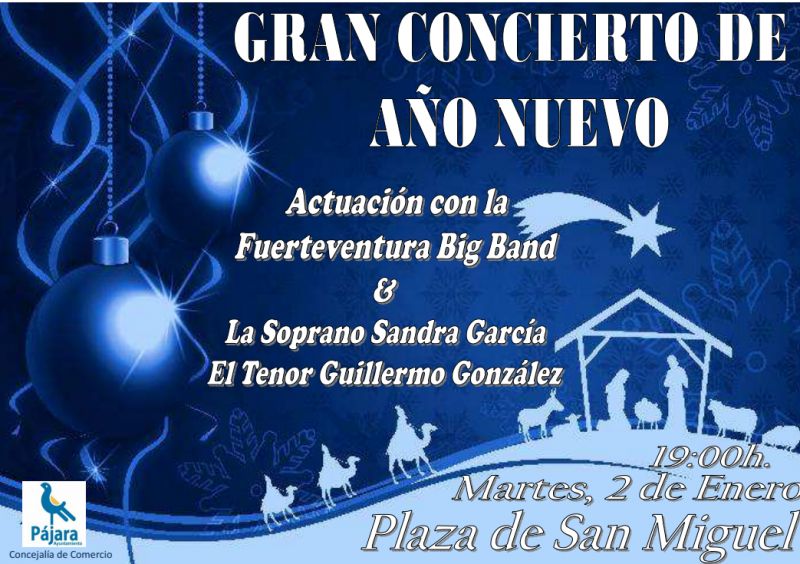 Pájaraconciertoañonuevocartel
