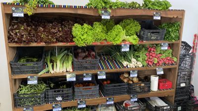 Ayto de La Oliva-Mercado de las Tradiciones