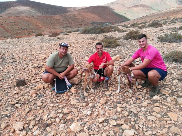 Sociedad de Cazadores Halcones Peregrinos