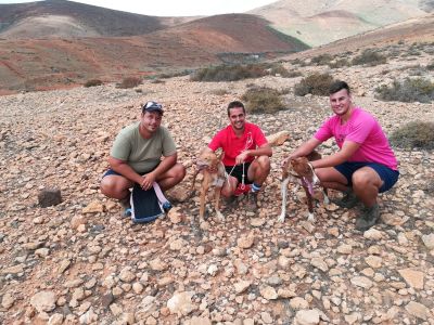 Sociedad de Cazadores Halcones Peregrinos