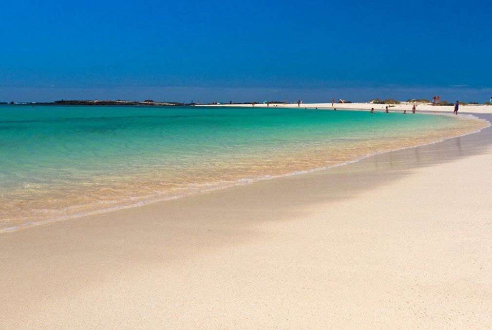 fuerteventura_playas